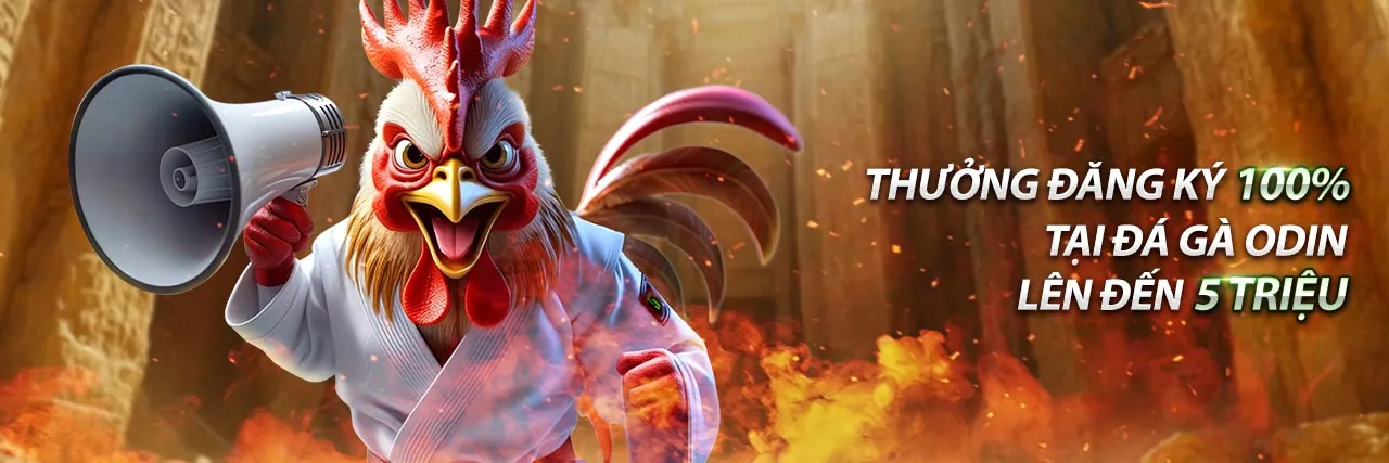 Đá gà trực tuyến winwin01 win 2026: Sân đấu gà với ánh đèn rực rỡ và khán giả hò reo